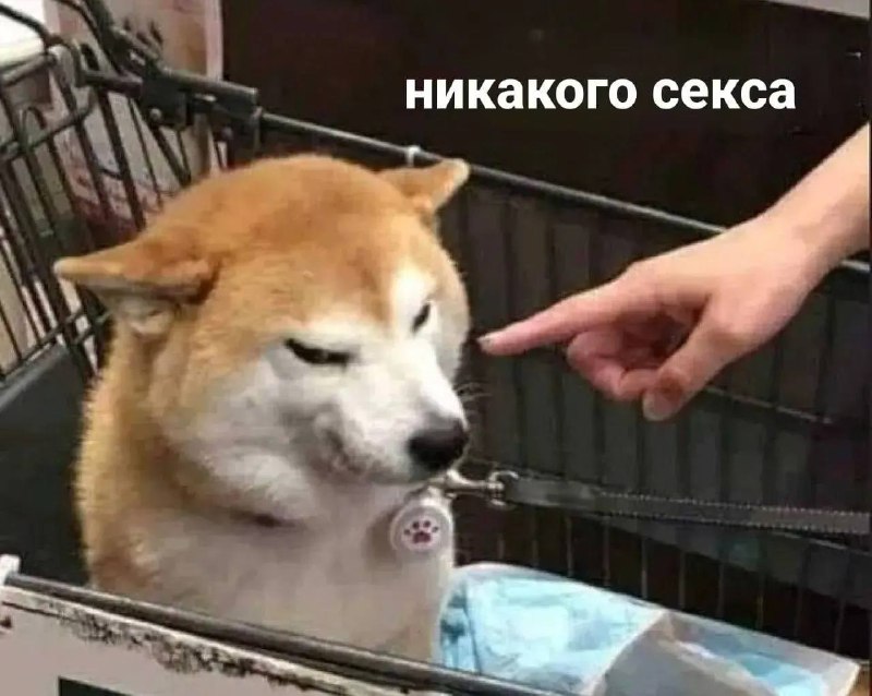 Фото поста канала Мой Нижний Новгород