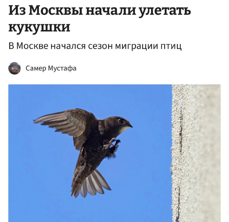 Фото поста канала Что там, Москва?