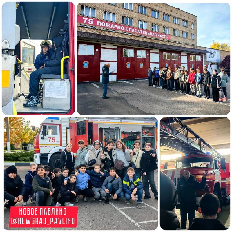 Фото поста канала  НОВОЕ ПАВЛИНО