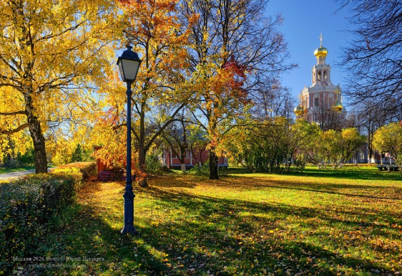Фото поста канала  Московские новости