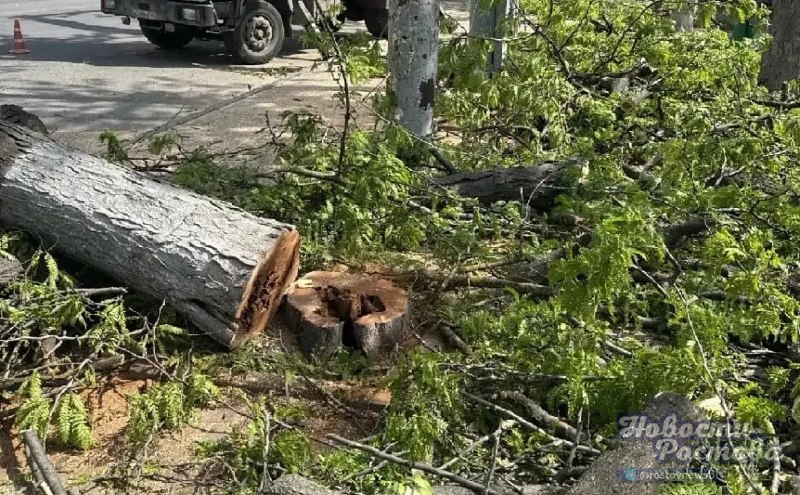 Фото поста канала  Новости Ростова - Rostovnews61