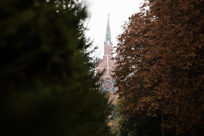 Фото поста канала  Клопс