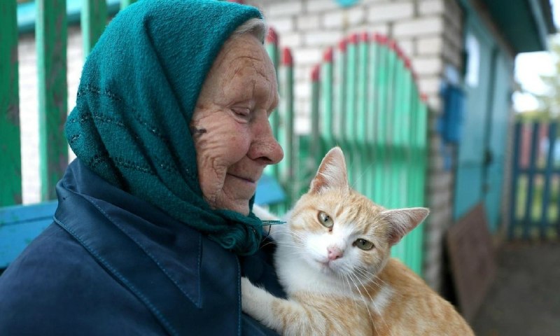 Фото поста канала  АрхДайджест