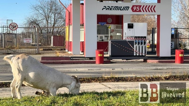 Фото поста канала  Мониторинг 66 Свердловская область