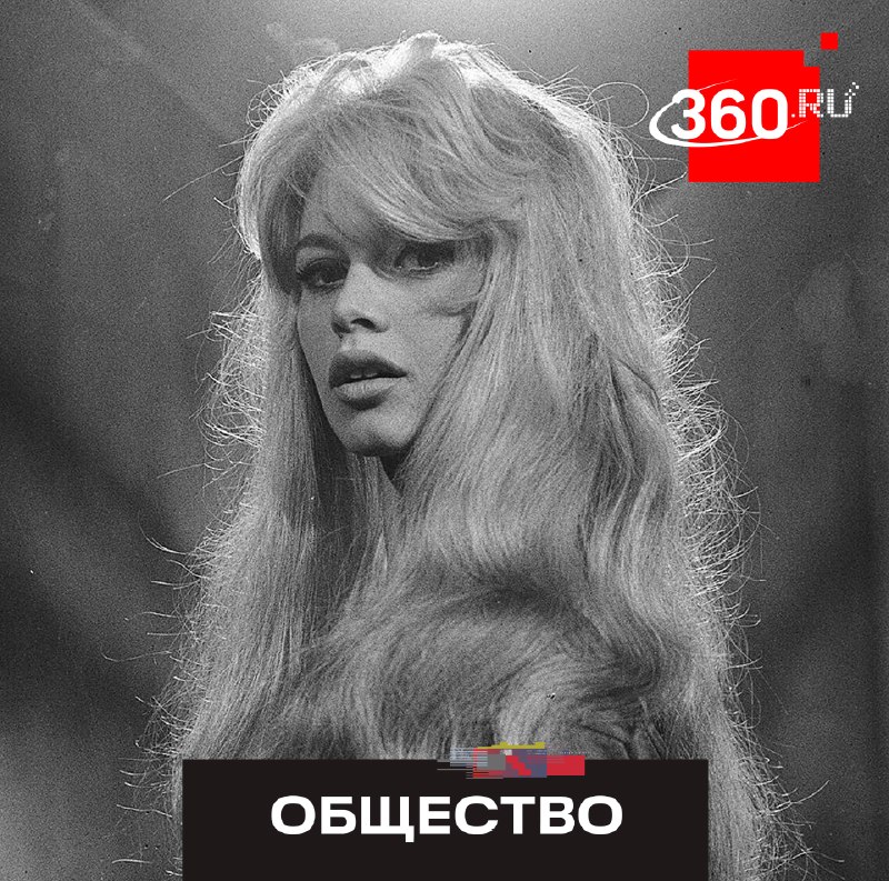 Фото поста канала  360.ru