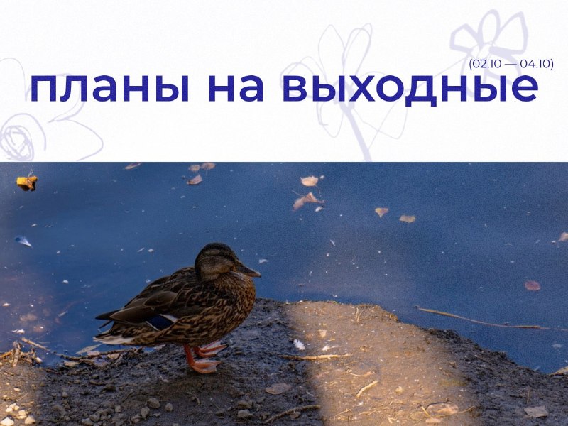 Фото поста канала  Мониторинг 66 Свердловская область