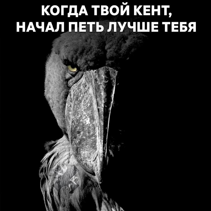 Фото поста канала НМШ 
