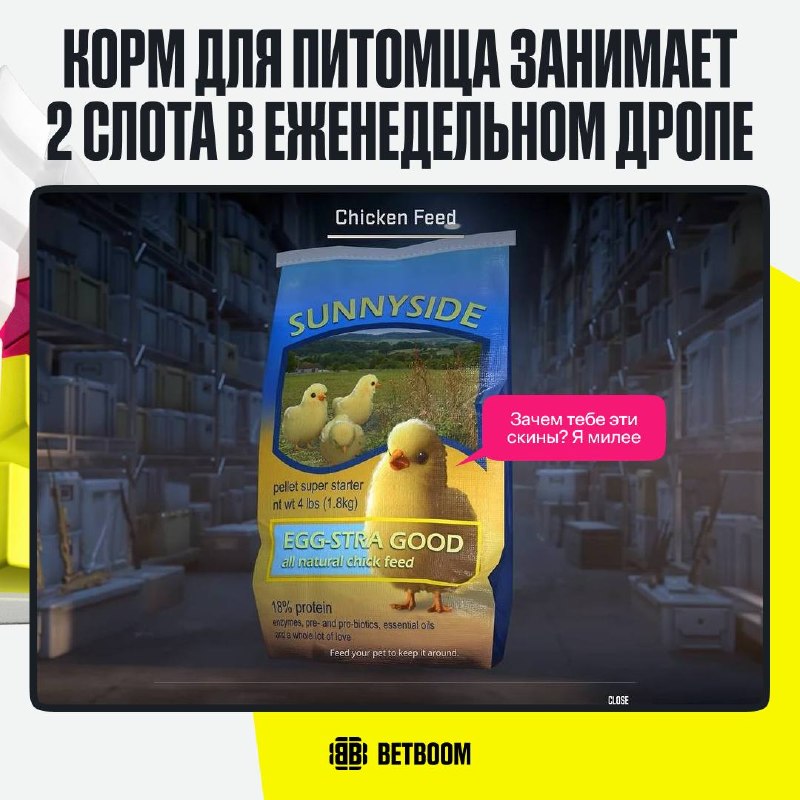 Фото поста канала BetBoom Esports CS2