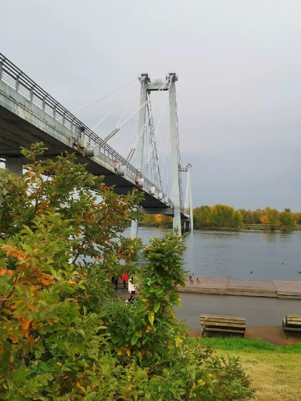 Фото поста канала  ТВК