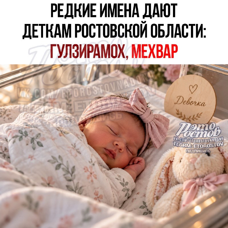 Фото поста канала  Это Ростов новости