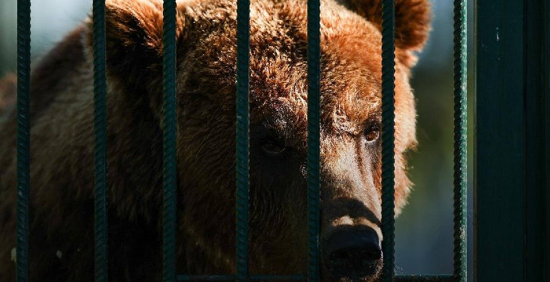 Фото поста канала  Такер Карлсон на русском