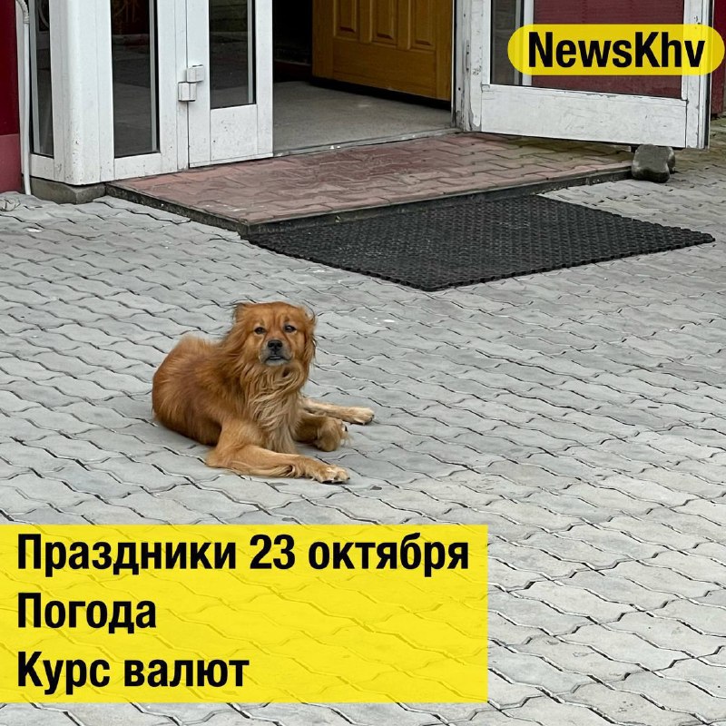 Фото поста канала  NewsKhv