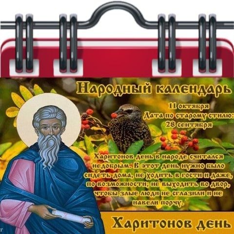 Фото поста канала  Жесть Шебекино