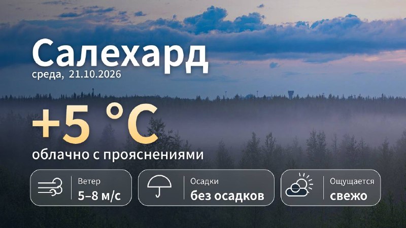 Фото поста канала  САЛЕХАРД онлайн