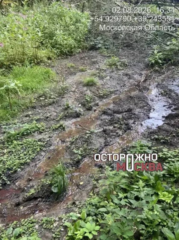Фото поста канала  Activatica.org 🟠 Активатика