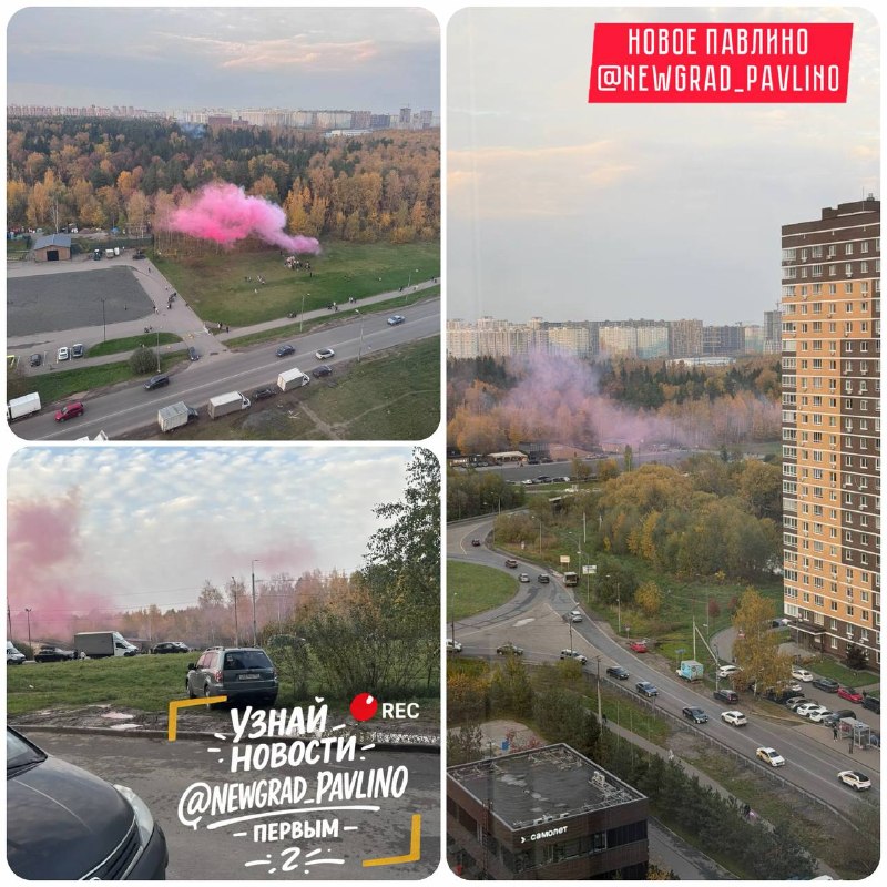 Фото поста канала  НОВОЕ ПАВЛИНО