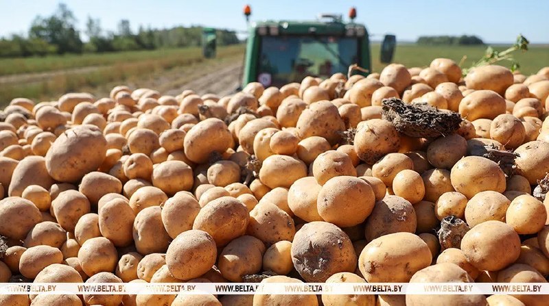 Фото поста канала  Виртуальный Брест новости
