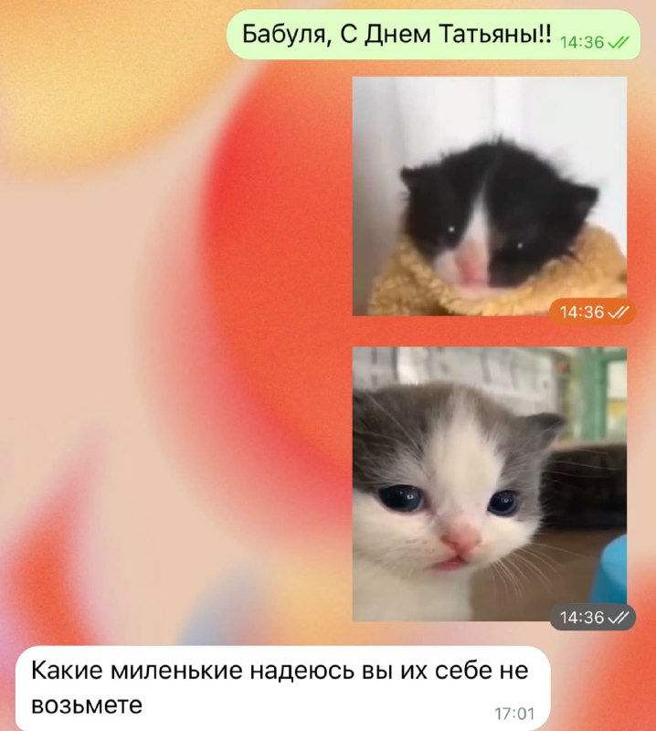 Фото поста канала  Темы. Главное (ГлавМедиа)