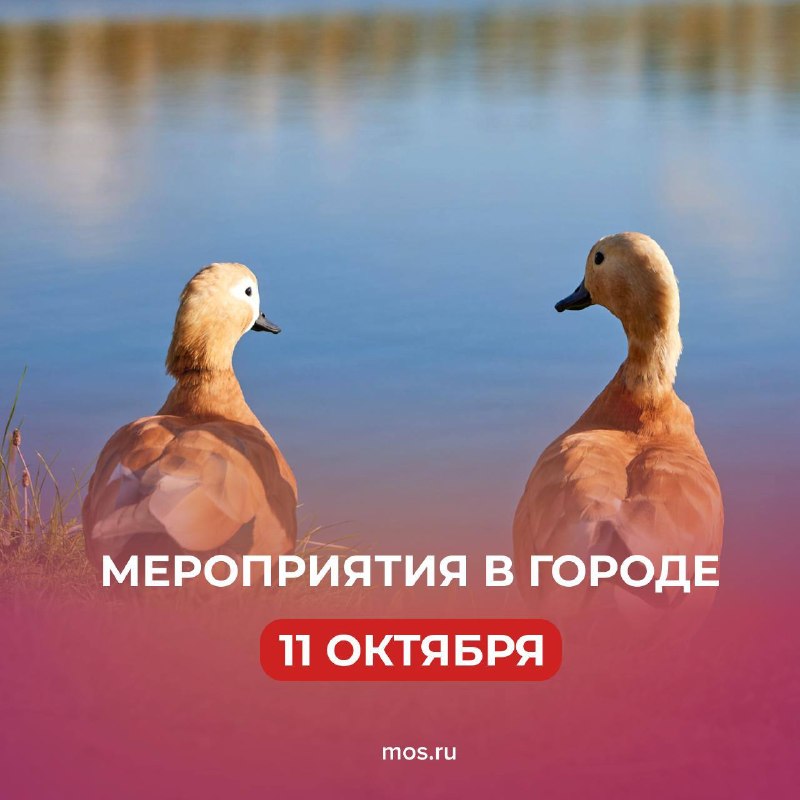 Фото поста канала  РИТА ЭБЗЕЕВА