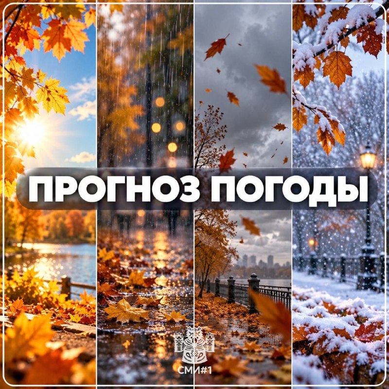Фото поста канала Новости Красноярска и Края