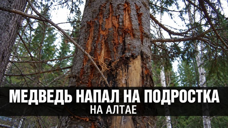 Фото поста канала  Камчатский Репортёр