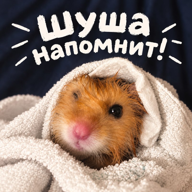 Фото поста канала  Малюсеньбкий телеграм канал