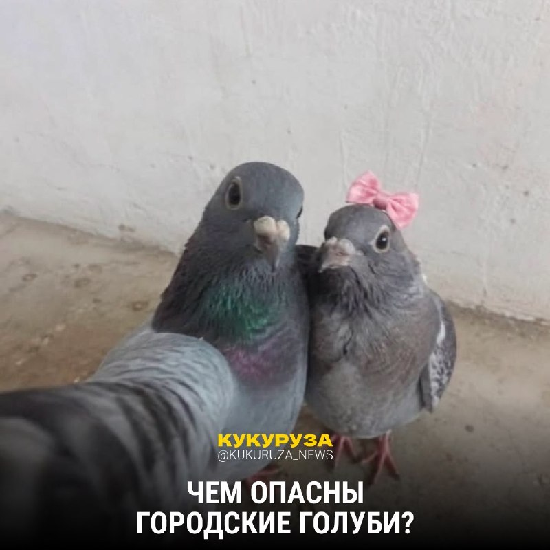 Фото поста канала  Новости Тюмени | 72.RU
