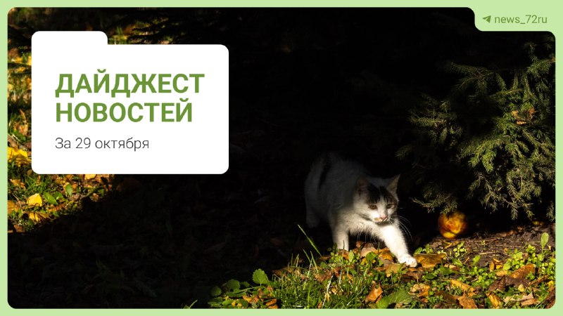 Фото поста канала  Новости Тюмени | 72.RU