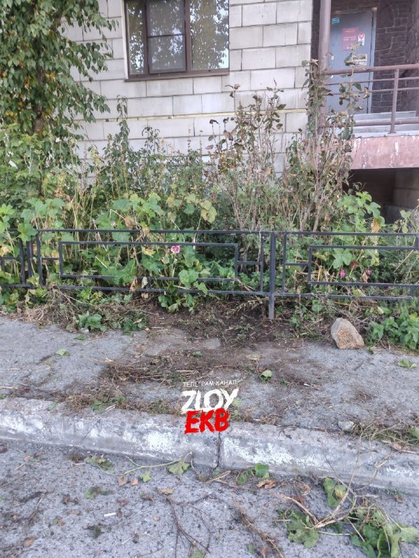 Фото поста канала  Zloy_ekb 18+ | Злой Екатеринбург