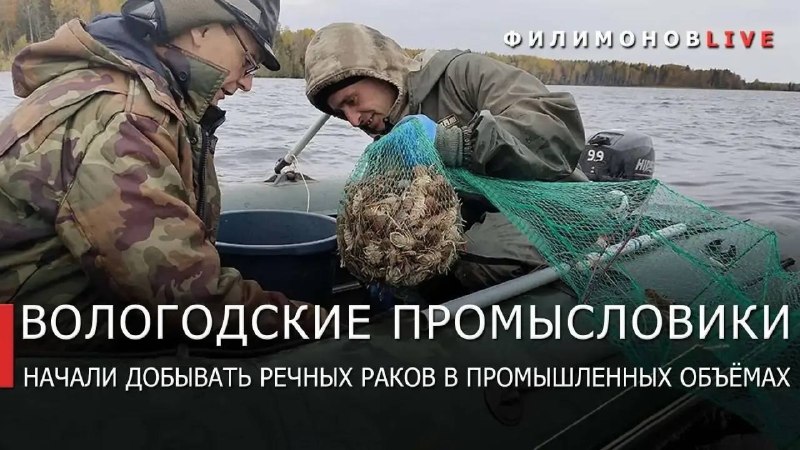 Фото поста канала  Мониторинг 51 Мурманская область