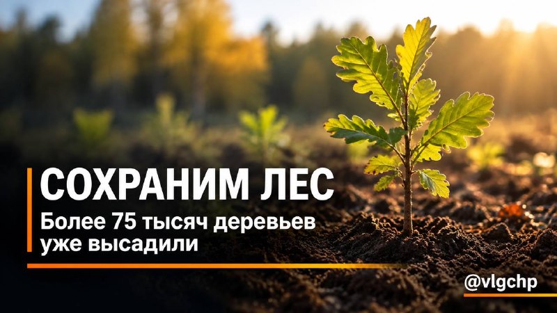 Фото поста канала  Волгоград