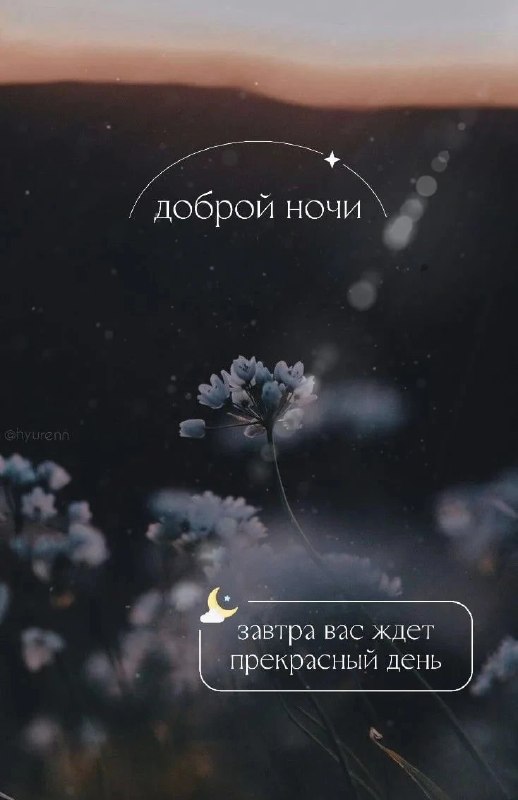 Фото поста канала Лента новостей ДНР | Z ТГ_ТЕСТ