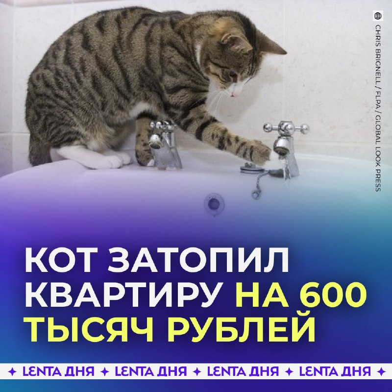 Фото поста канала Лента дня