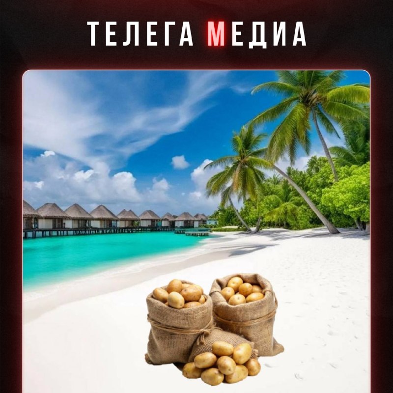Фото поста канала  Телега ONLINE
