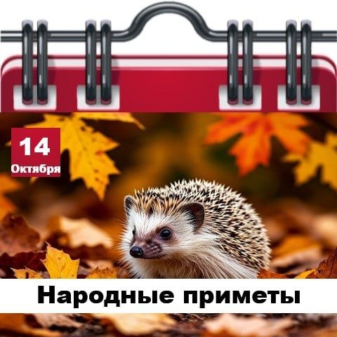 Фото поста канала  Жесть Шебекино