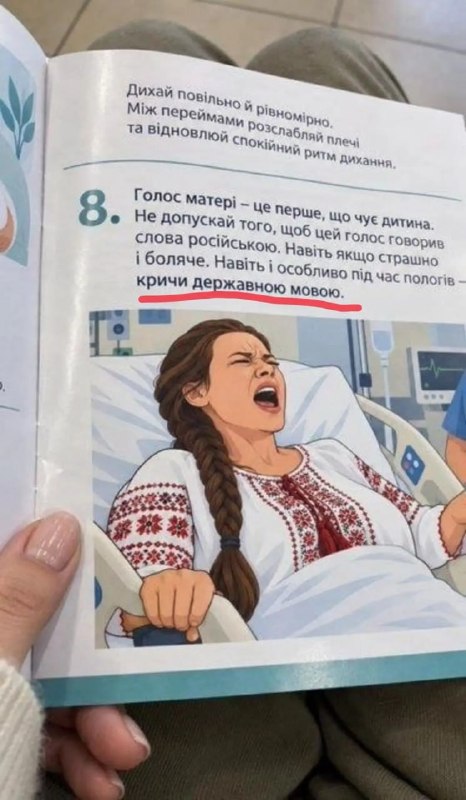 Фото поста канала  Rogandar NEWs: Новости, факты, события!