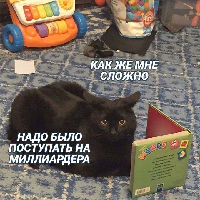 Фото поста канала В Казани Поймут