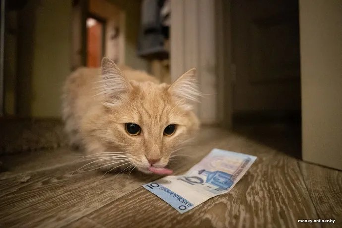 Фото поста канала  Виртуальный Брест новости