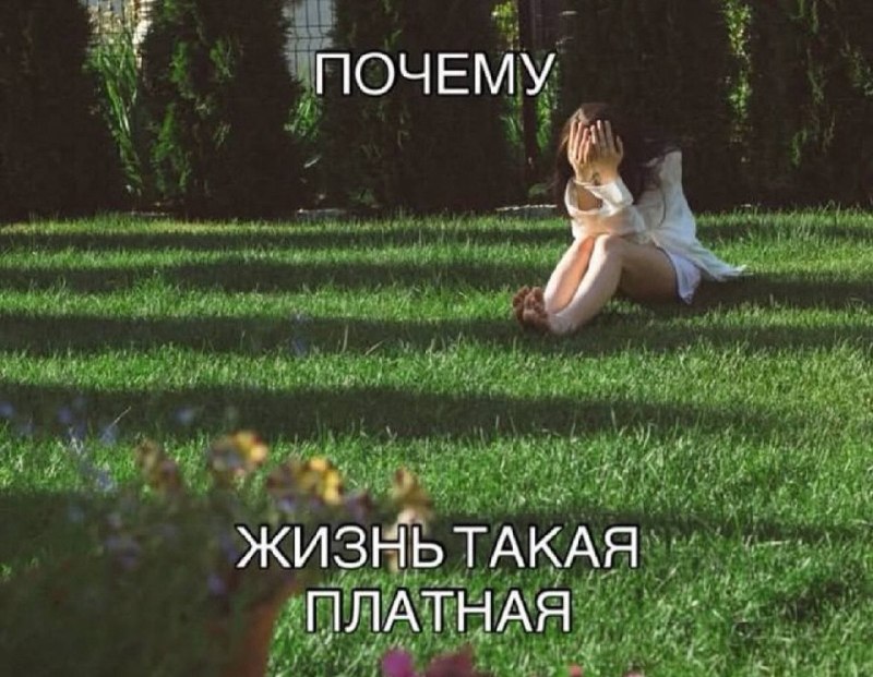 Фото поста канала E V O L U T I O N