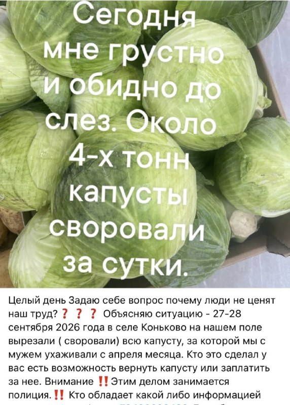 Фото поста канала  ЧП Донецк