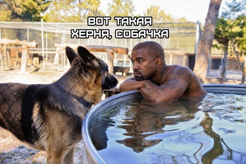Фото поста канала Тренды задавать