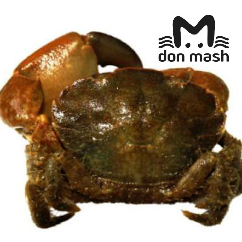 Фото поста канала  Don Mash