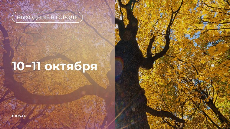 Фото поста канала  РИТА ЭБЗЕЕВА