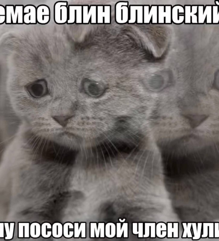 Фото поста канала москоутиндер
