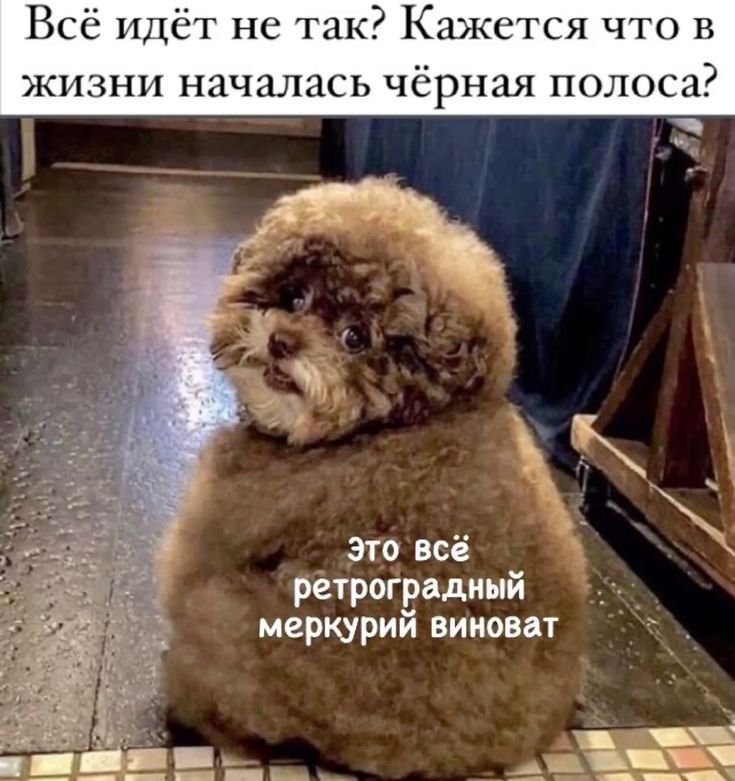 Фото поста канала  ЗИ - ЗЛОЙ ИЖЕВЧАНИН / НОВОСТИ УДМУРТИИ и Ижевска