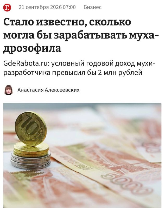 Фото поста канала  Провод