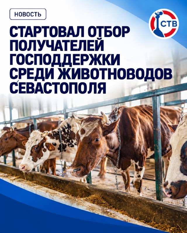 Фото поста канала  Телеканал CТВ. СеVастополь