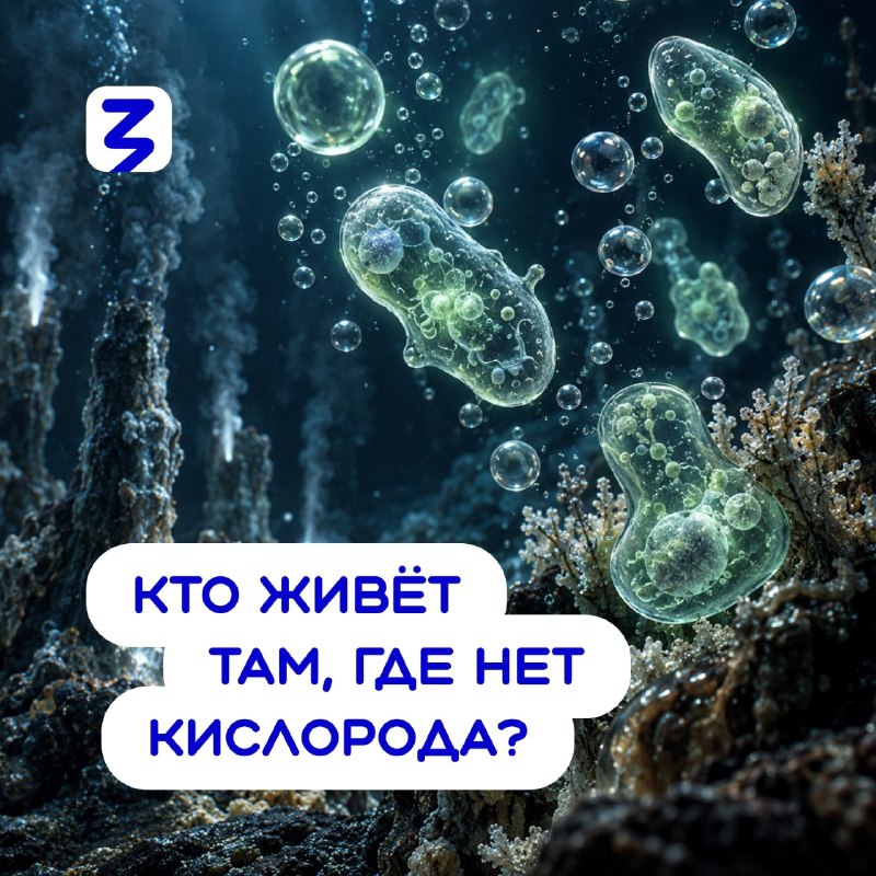 Фото поста канала  Дмитрий Конаныхин 🇷🇺