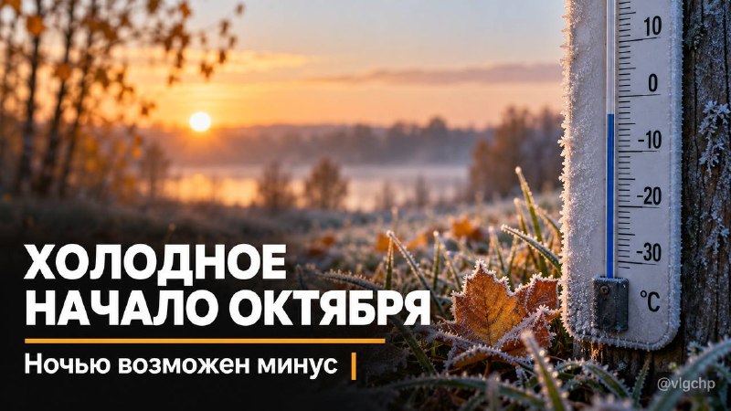 Фото поста канала  Волгоград