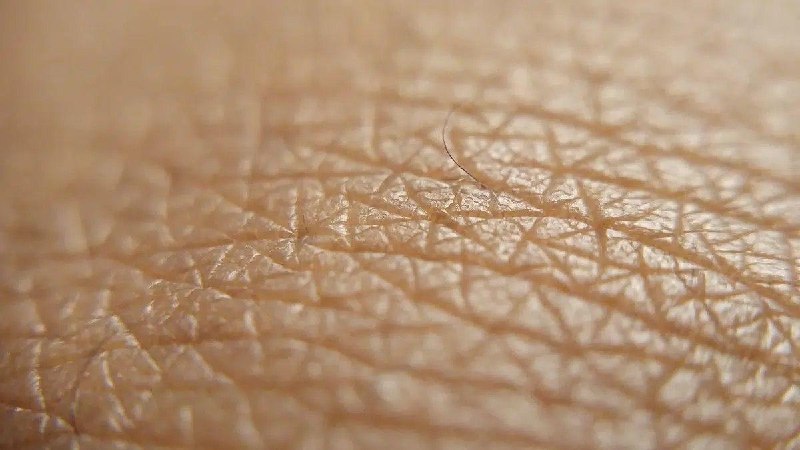 Фото поста канала Naked Science